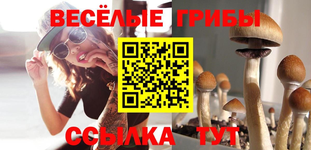 Псилоцибиновые грибы мицелий Ярцево